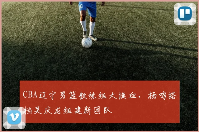 CBA辽宁男篮教练组大换血,杨鸣搭档吴庆龙组建新团队