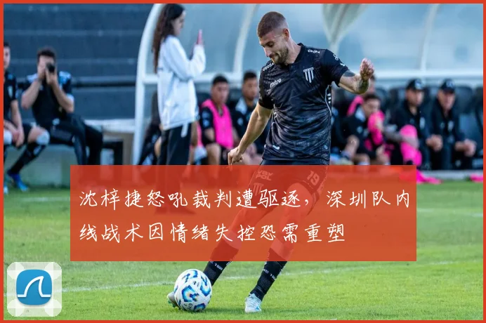 沈梓捷怒吼裁判遭驱逐，深圳队内线战术因情绪失控恐需重塑
